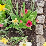 Gaestehaus Watschinger 住宿加早餐酒店 Bad Wimsbach-Neydharting