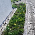 住宿加早餐酒店 Gaestehaus Watschinger 3*