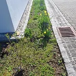 Gaestehaus Watschinger 3*