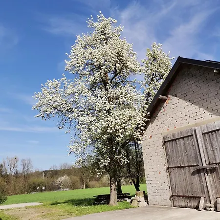Gaestehaus Watschinger Отель типа 