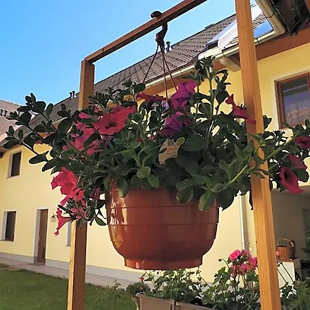 Gaestehaus Watschinger Bad Wimsbach-Neydharting