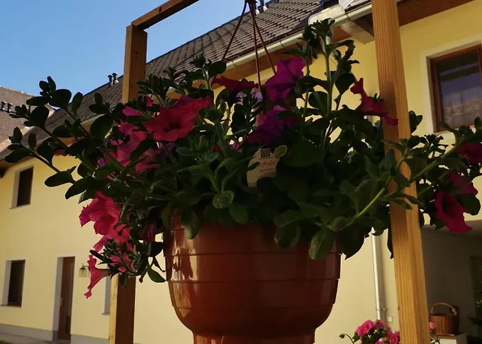 Gaestehaus Watschinger 3*