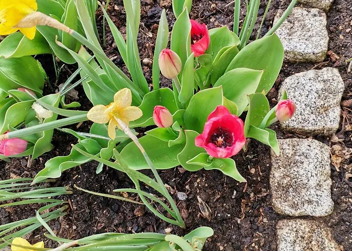 Gaestehaus Watschinger Отель типа 