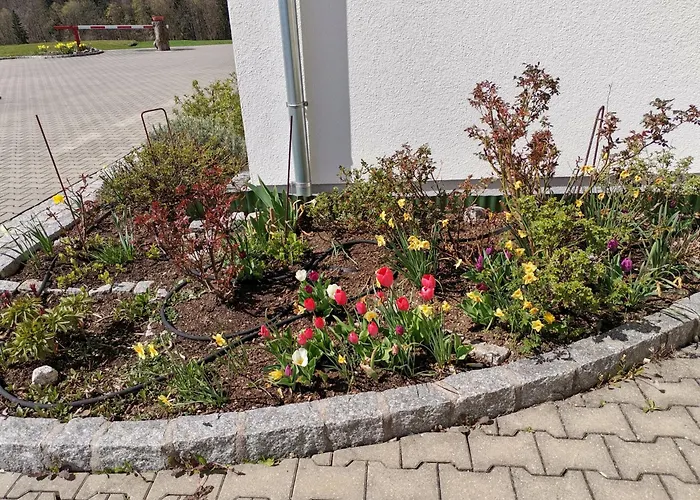 Gaestehaus Watschinger Bad Wimsbach-Neydharting