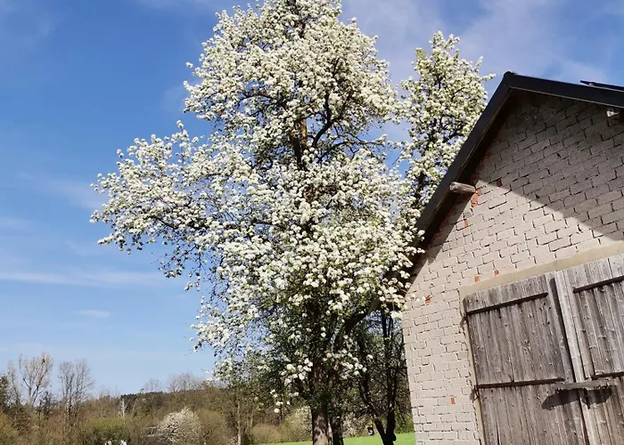 Gaestehaus Watschinger Отель типа 