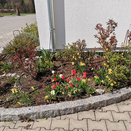 Gaestehaus Watschinger Bad Wimsbach-Neydharting