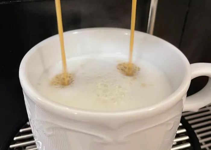 Alojamento de Acomodação e Pequeno-almoço Gaestehaus Watschinger