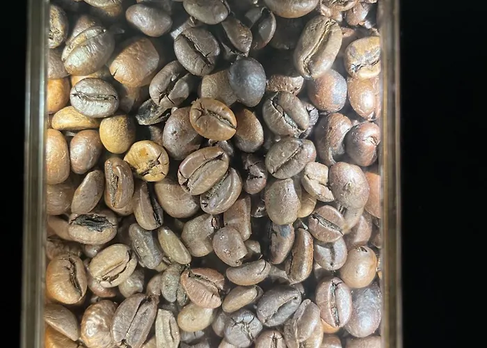 Gaestehaus Watschinger Bed & Breakfast Bad Wimsbach-Neydharting